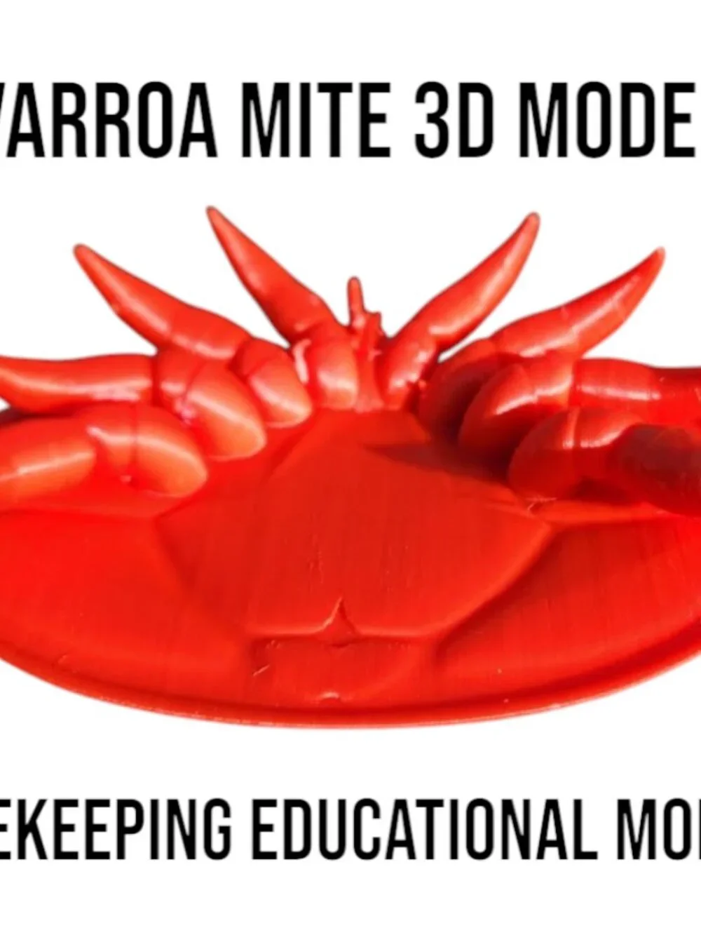 Varroa Mite Varoa Destructor Bug Insect Model Beekeeping Honeybees Bee Save the
